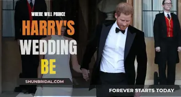 Prince Harry's Wedding Venue: Where and When?
