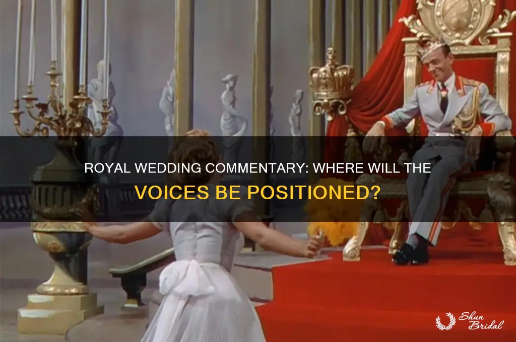 where will the commentators sit during royal wedding