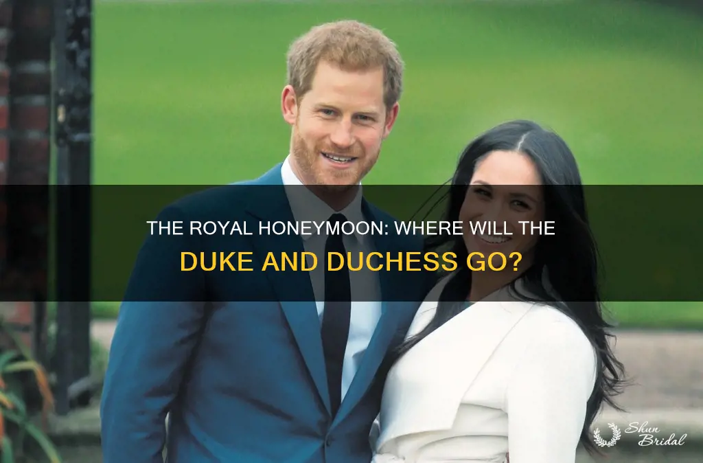 where will the duke and duchess of sussex honeymoon