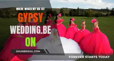 My Big Fat Gypsy Wedding": A Cultural Journe