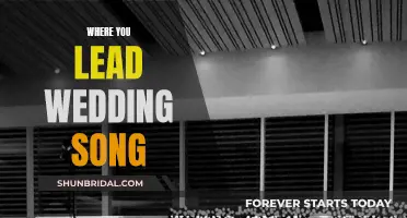 Where You Lead' Wedding Song: A Love Story Anthe