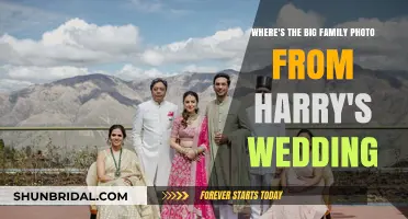 Harry's Wedding: The Missing Family Photo Mystery