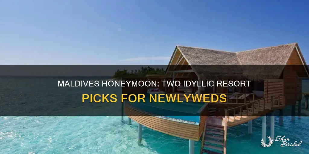 which 2 maldives resorts should I go to for honeymoon