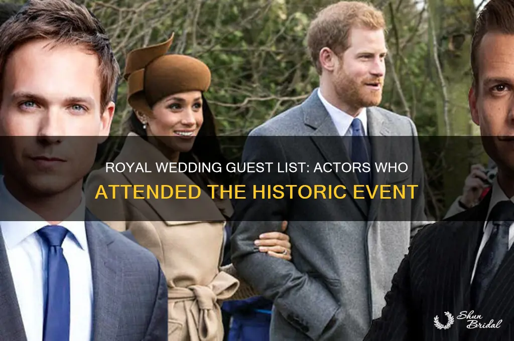 which actors attended the royal wedding