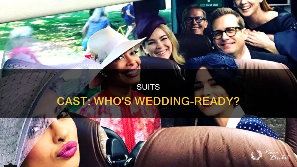 which actors from suits will attend wedding