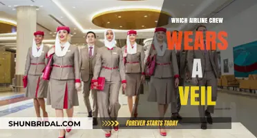Veiled Skies: Airlines Where Crew Uniforms Include a Veil