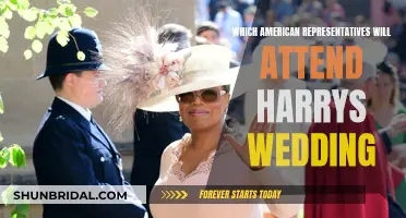 Who's Representing the US at Harry's Wedding?