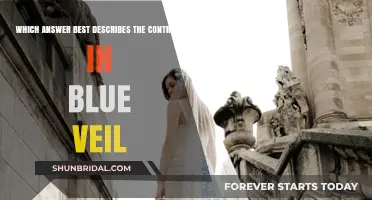 Blue Veil's Contrast: Unveiling the Most Descriptive Answer