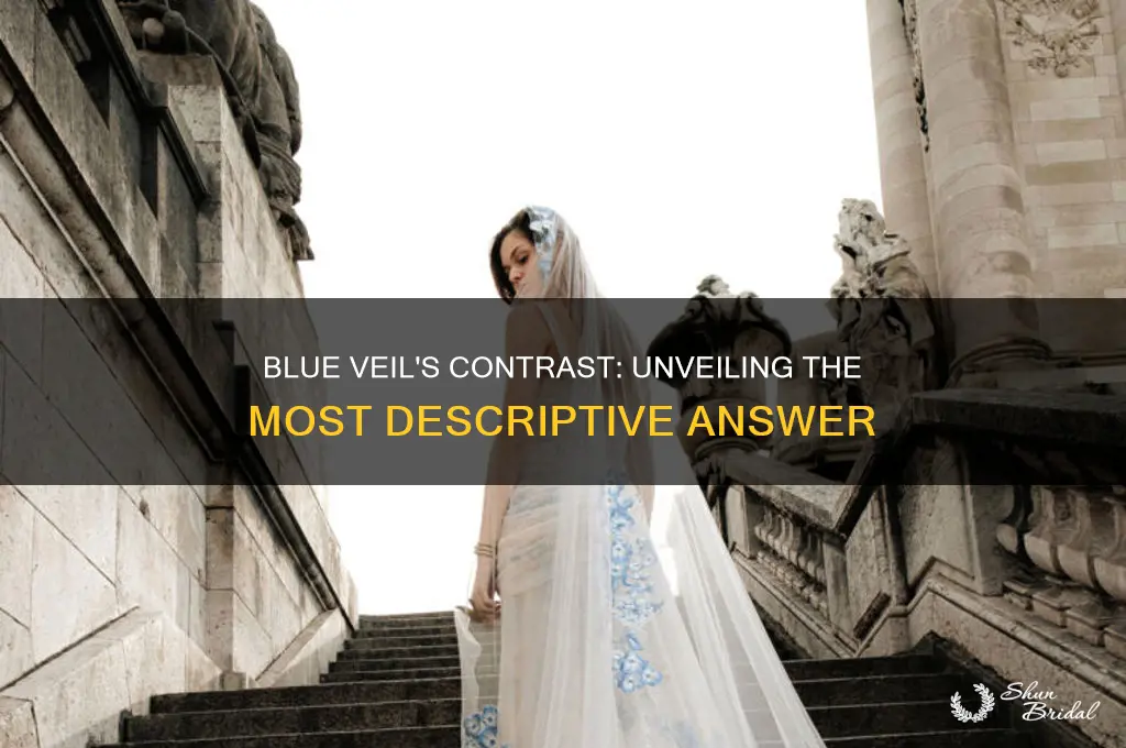 which answer best describes the contrast in blue veil