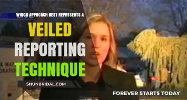 Unveiling Stealth: The Art of Subtle Reporting Techniques Explored