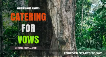Eternal Vows in the Serene and Sacred Rainforest Biome