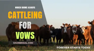 Exploring the Biome Where Cattle Grazing Meets Sacred Vows