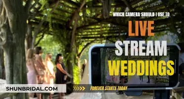 Choosing the Right Camera for Live-Streaming Weddings