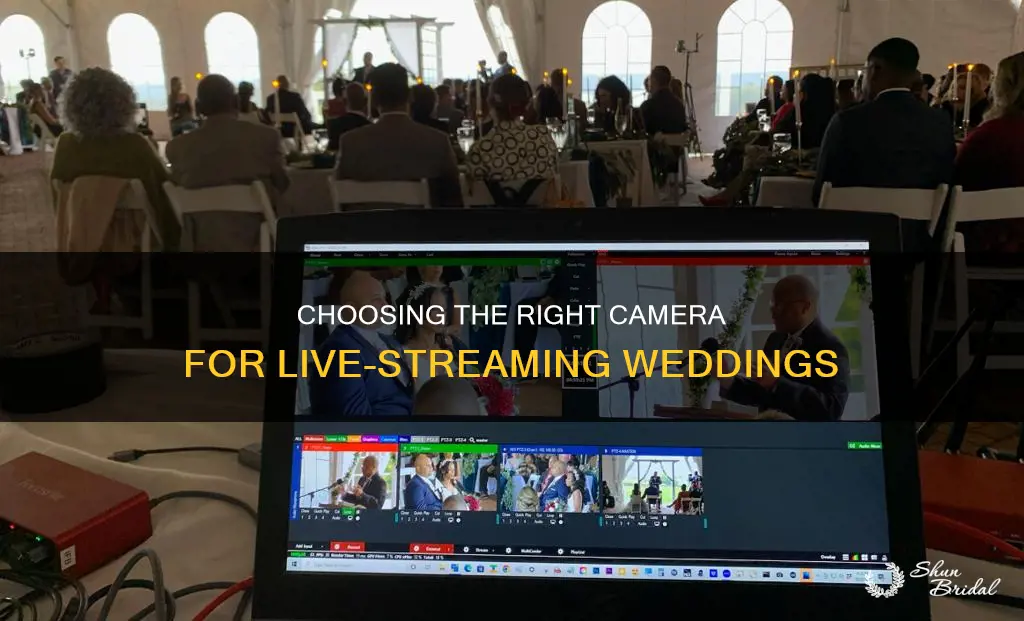 which camera should I use to live stream weddings