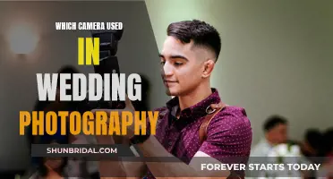 Best Cameras for Capturing Weddings
