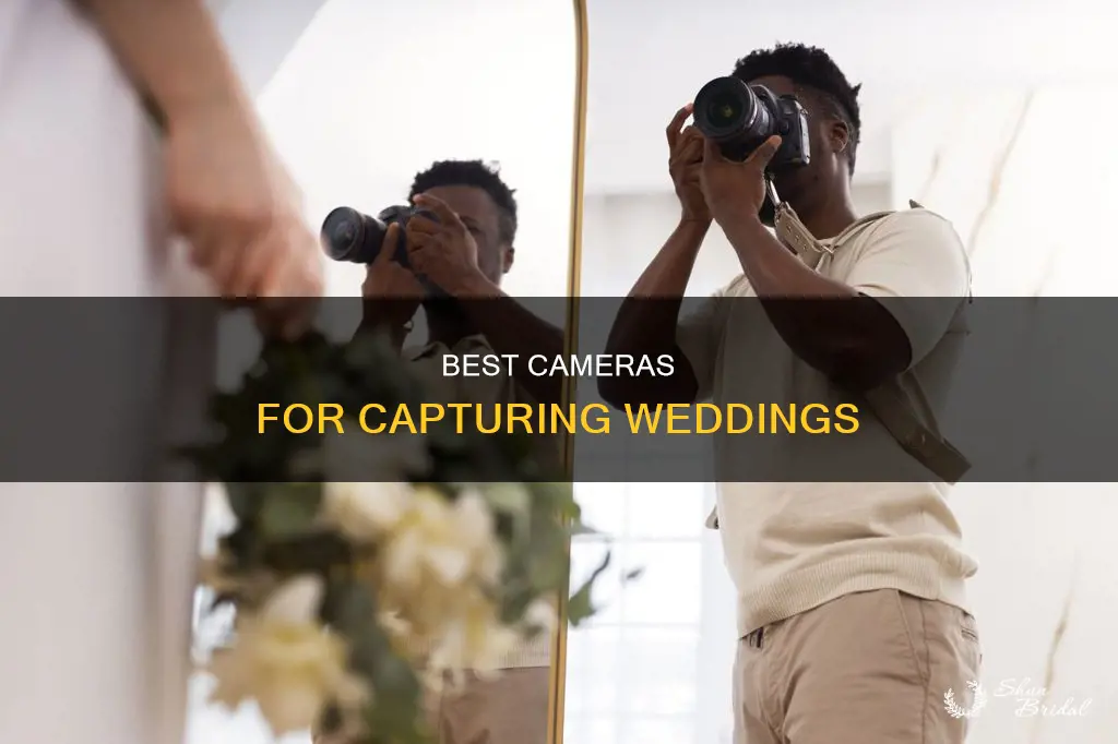 which camera used in wedding photography