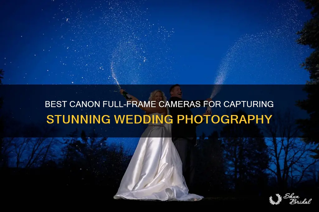 which canon full frame should I buy wedding