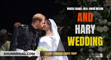 Where to Watch the Royal Wedding of Meghan and Harry