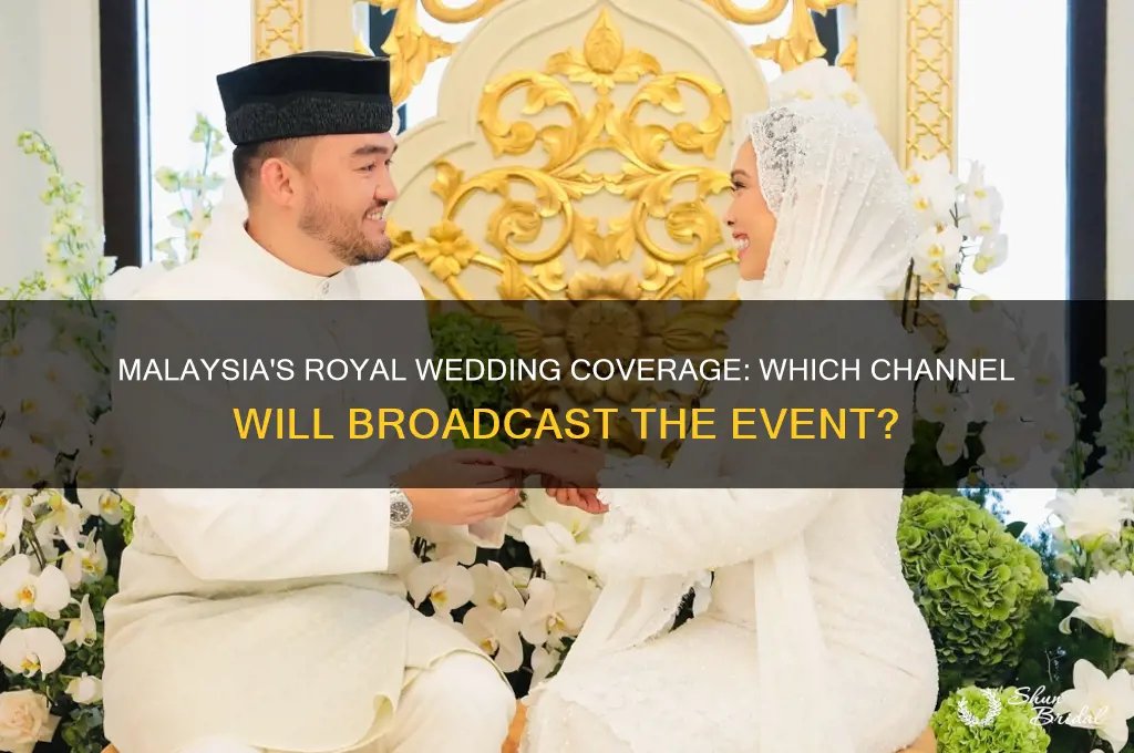 which channel in malaysia covering royal wedding