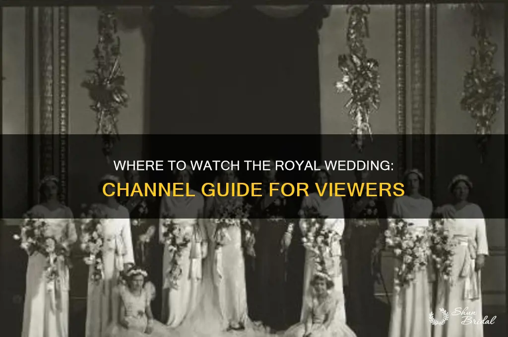 which channel is airing the royal wedding