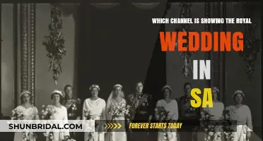 Where to Watch the Royal Wedding in South Africa