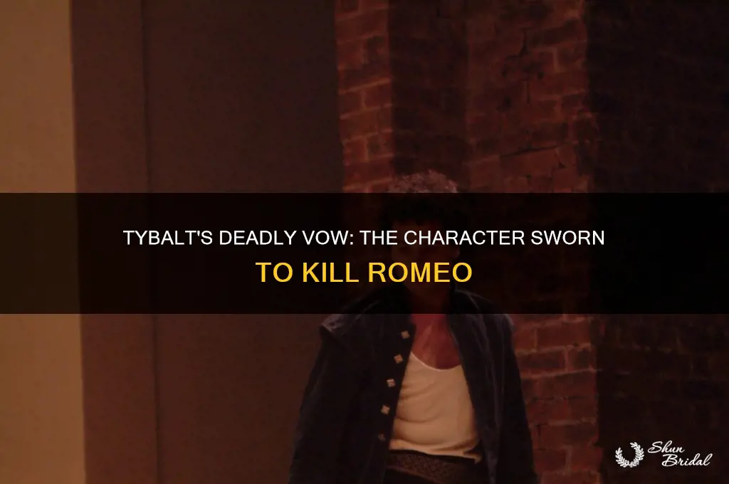 which character vows to kill romeo