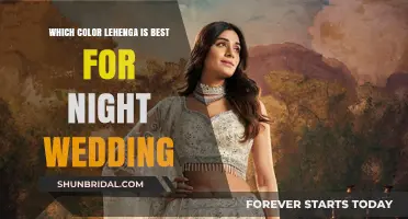 Perfect Night Wedding Lehenga Colors: Elegant Choices for Evening Celebrations