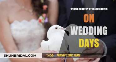 Doves of Love: Wedding Traditions Around the World Explored