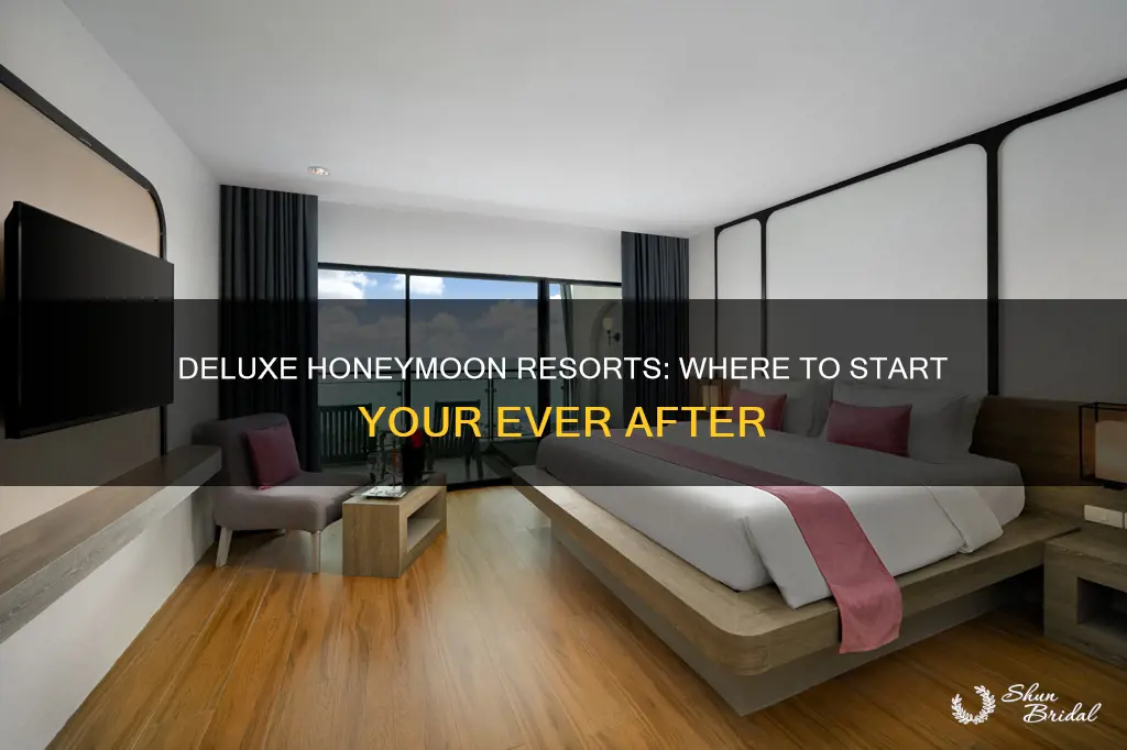 which deluxe resort should we stay at honeymoon