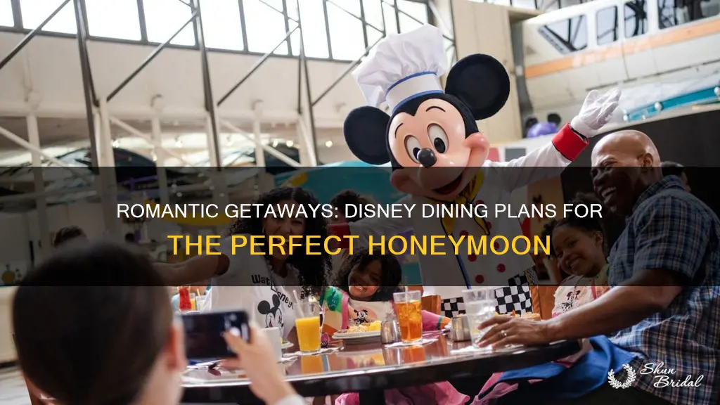 which disney dining plan is best for honeymoon