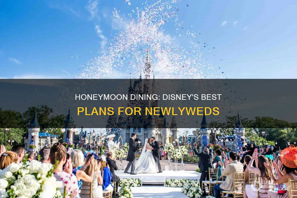 which disney dining plan is best for honeymoon