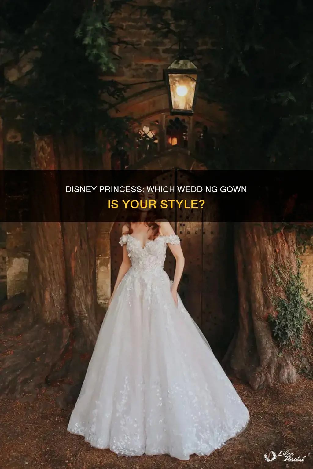 which disney wedding dress should I wear