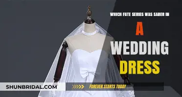 Saber's Wedding Dress: Fate Series Highlight