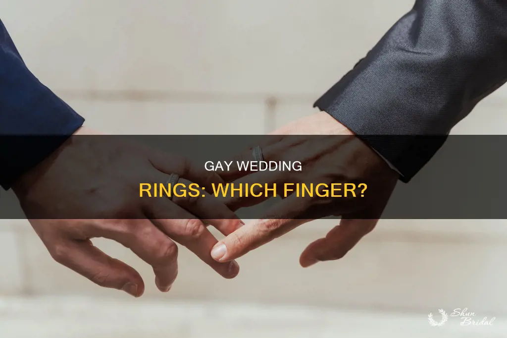 which finger do married gays place there wedding ring