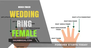 The Wedding Ring Finger for Women