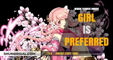 Choosing Your Favorite Flower Knight Girl: Preferences and Personalities Compared