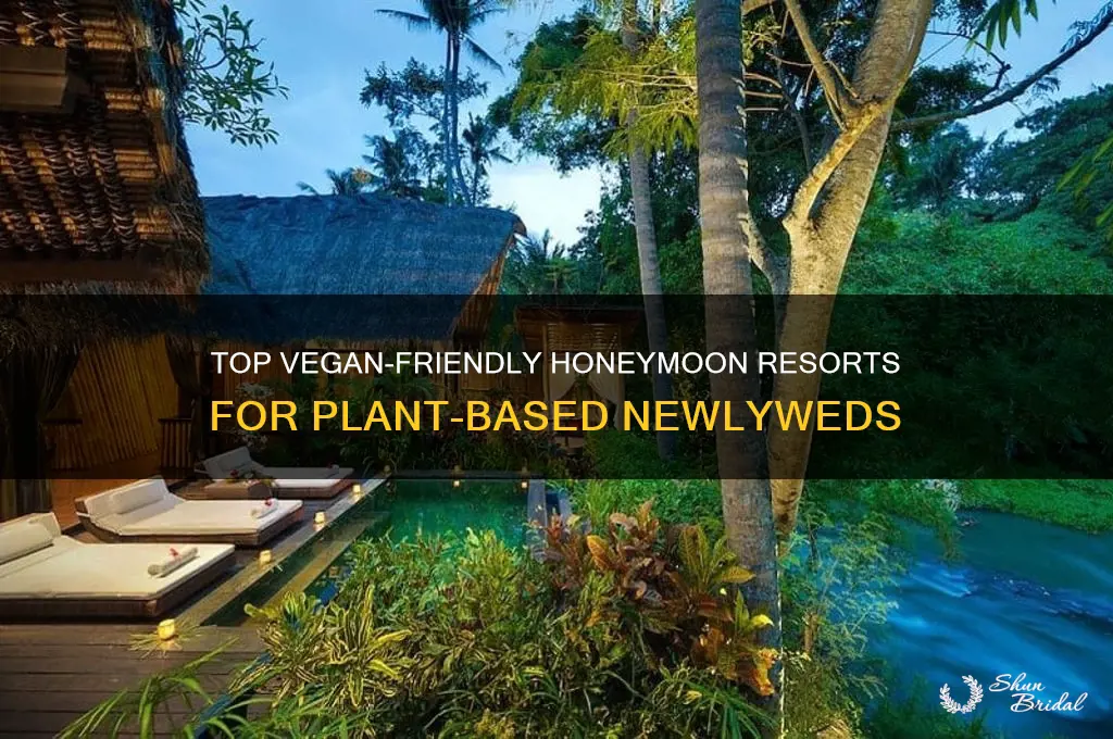 which honeymoon resorts accomodate vegan food