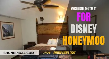 Honeymoon Magic: Hotels for the Perfect Disney Stay