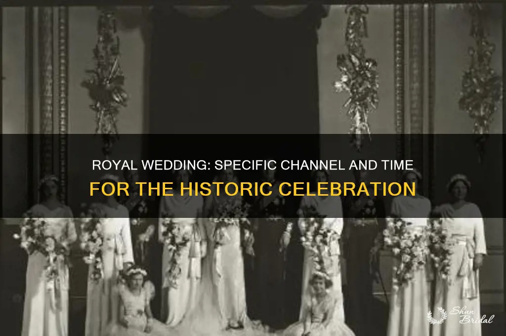 which is a specific channel and time for royal wedding