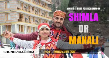 Shimla vs. Manali: Which Hill Station is Perfect for Your Honeymoon?