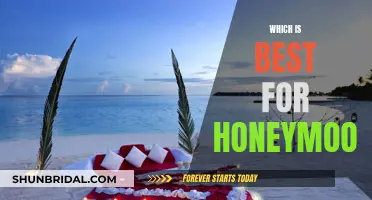 The Perfect Honeymoon: Adventure or Relaxation?