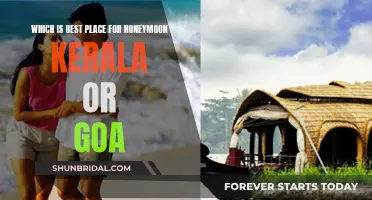 Honeymoon Paradise: Kerala or Goa? Uncover Your Perfect Getaway!