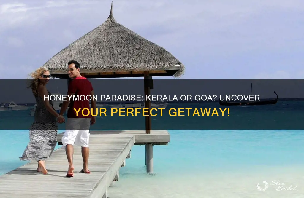 which is best place for honeymoon kerala or goa