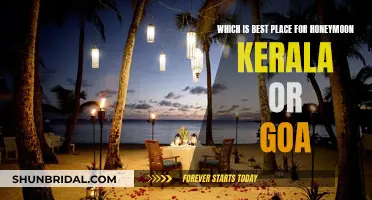 Honeymoon Destinations: Kerala vs Goa, Which is Better?