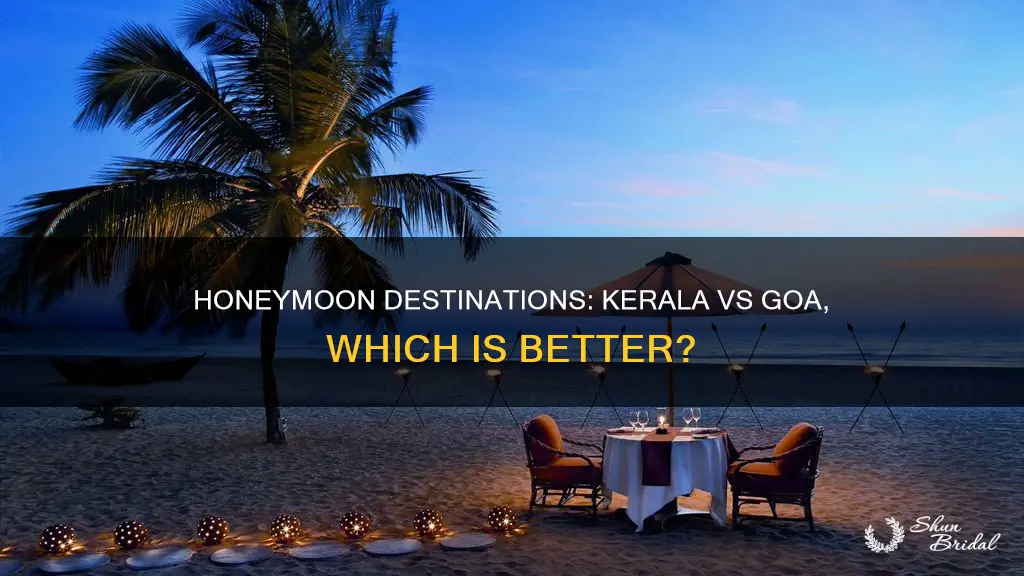 which is best place for honeymoon kerala or goa