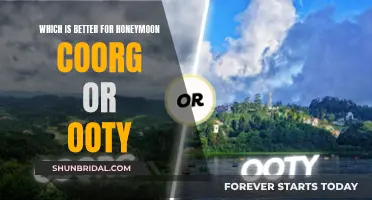 Honeymoon Getaway: Coorg vs. Ooty: Which is the Perfect Choice?