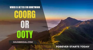 Honeymoon Haven: Coorg or Ooty?