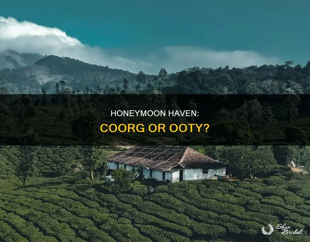 which is better for honeymoon coorg or ooty