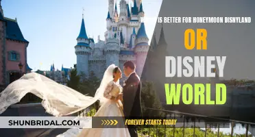 Honeymoon Destinations: Disney World vs. Disneyland, Which is Right for You?