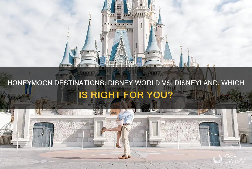 which is better for honeymoon disnyland or disney world